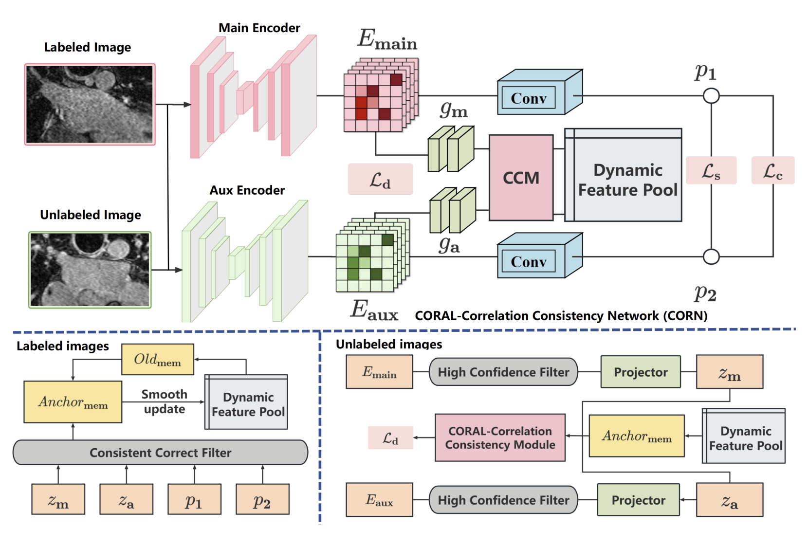 Leveraging CORAL-Correlation Consistency Network for Semi-Supervised Left Atrium MRI Segmentation
